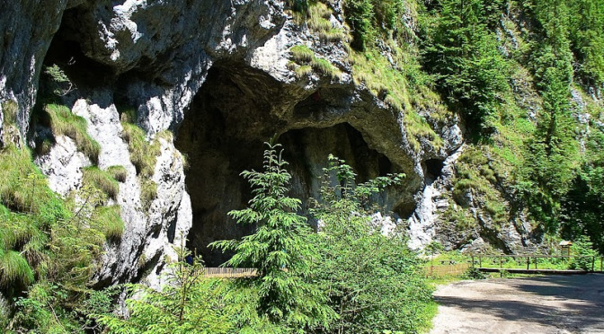 Pestera Poarta lui Ionel