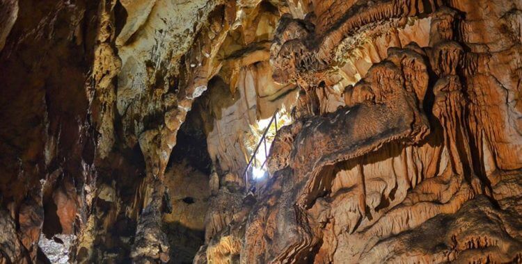 Pestera vadul Crisului